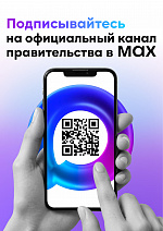 Правительство Челябинской области